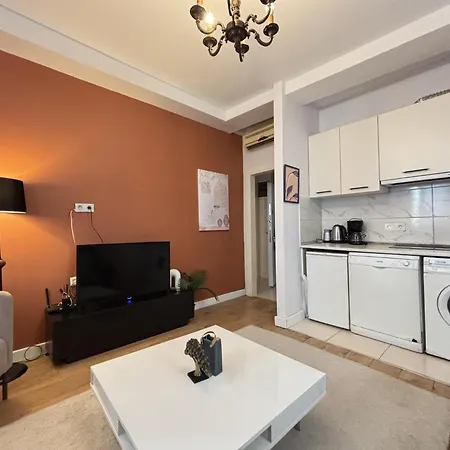 Stylish 2br Flat Near Grand Bazaar Eminoenue Provincia di Istanbul